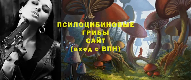 Галлюциногенные грибы MAGIC MUSHROOMS  omg как войти  Валуйки 